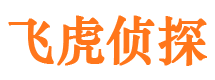 怀集婚外情调查取证